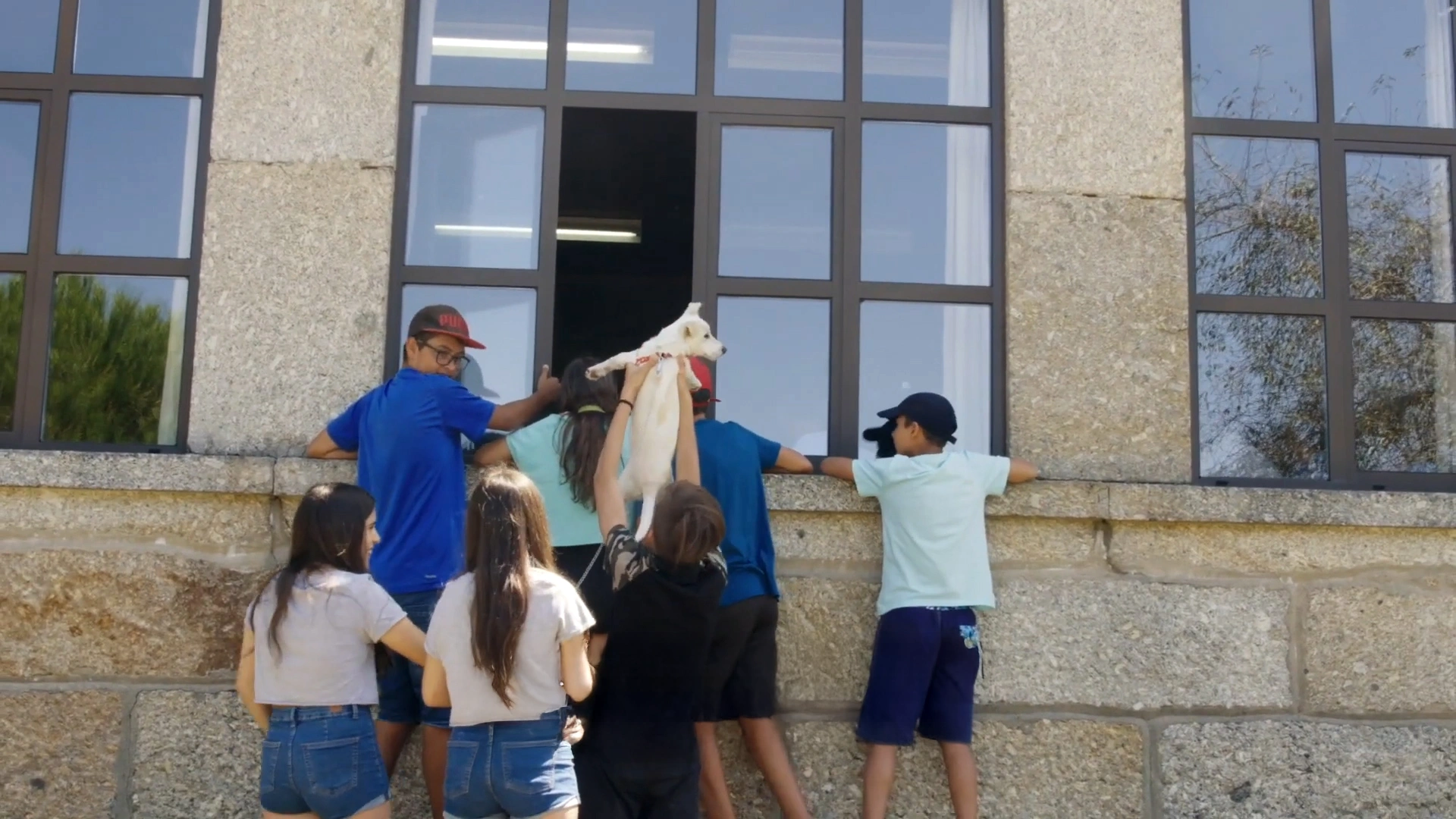 54 Dias — fotografia 7
