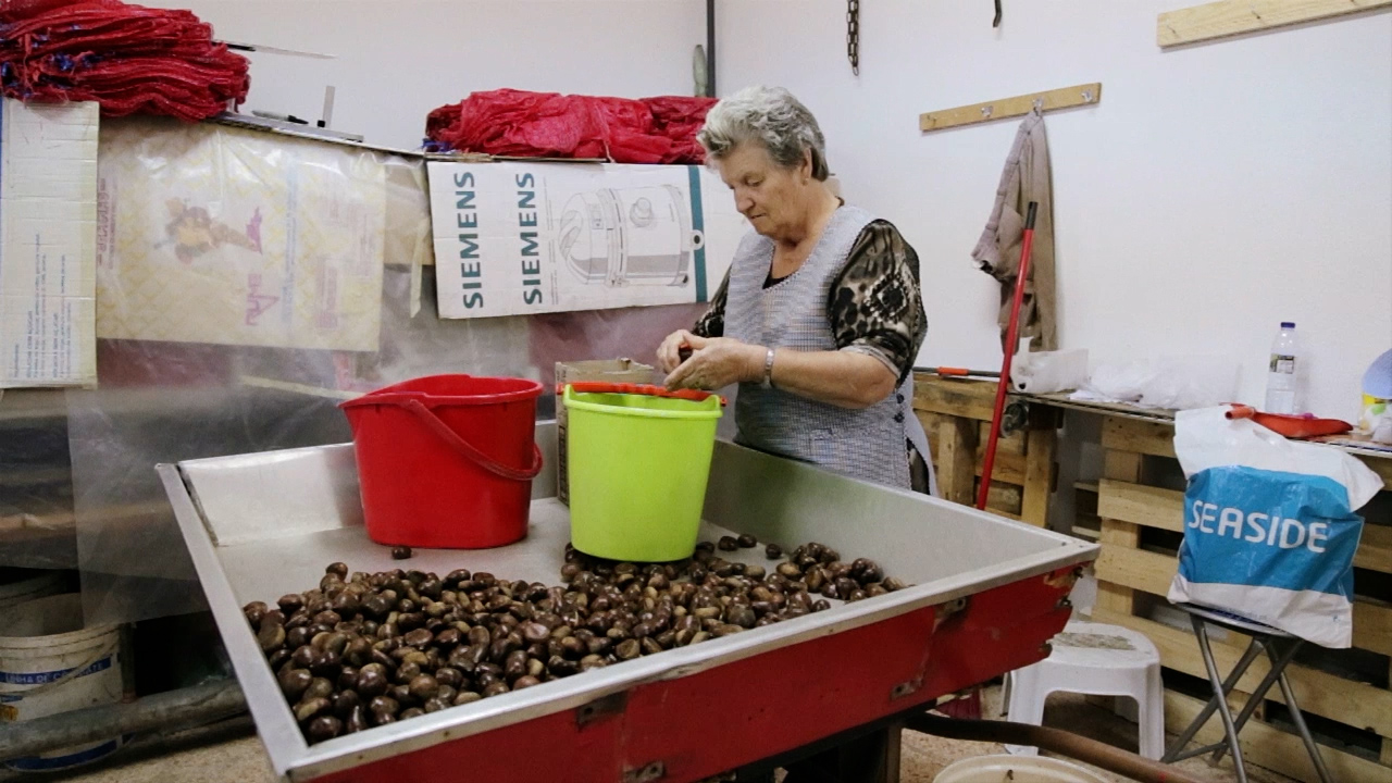 Preparação das castanhas